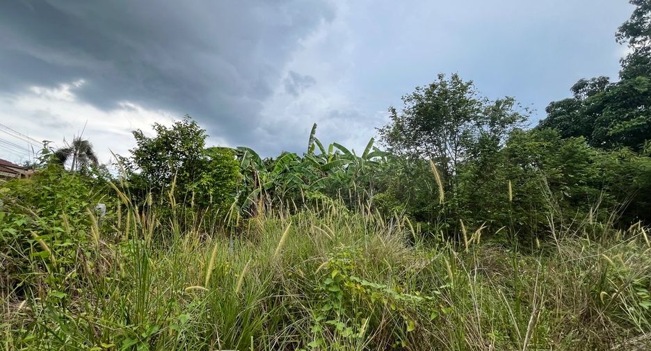 For sale land in Takua Thung, Phang Nga