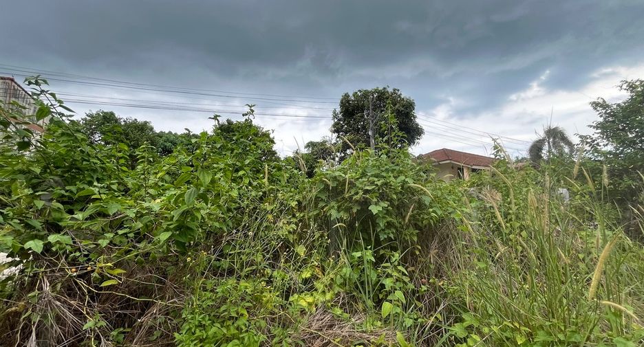 For sale land in Takua Thung, Phang Nga