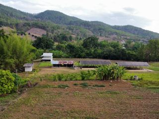 出售 土地 在 Pai, Mae Hong Son