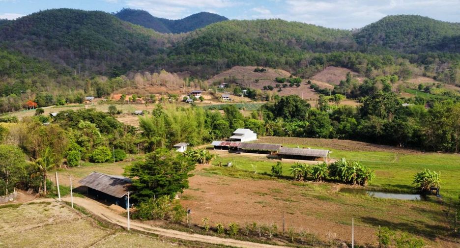 For sale land in Pai, Mae Hong Son