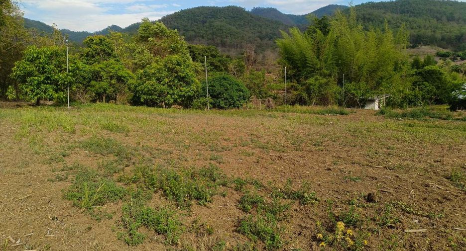 For sale land in Pai, Mae Hong Son