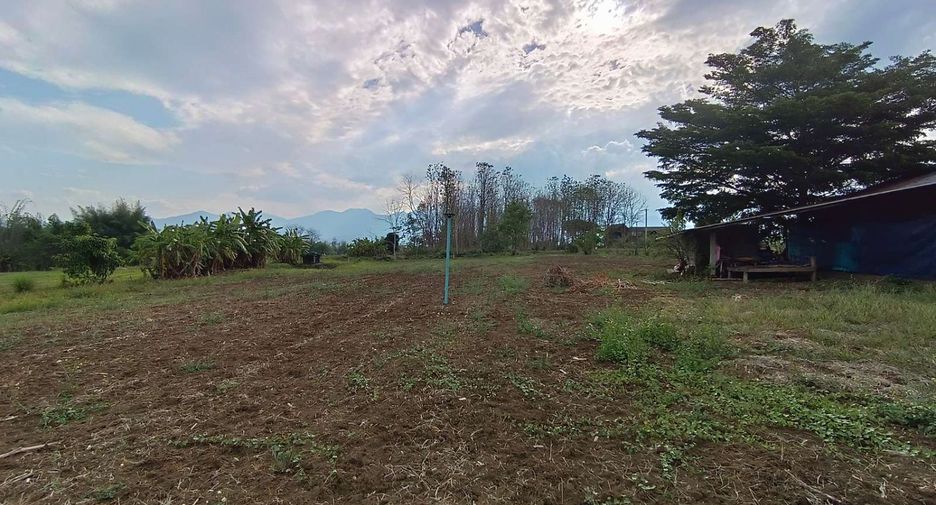 For sale land in Pai, Mae Hong Son