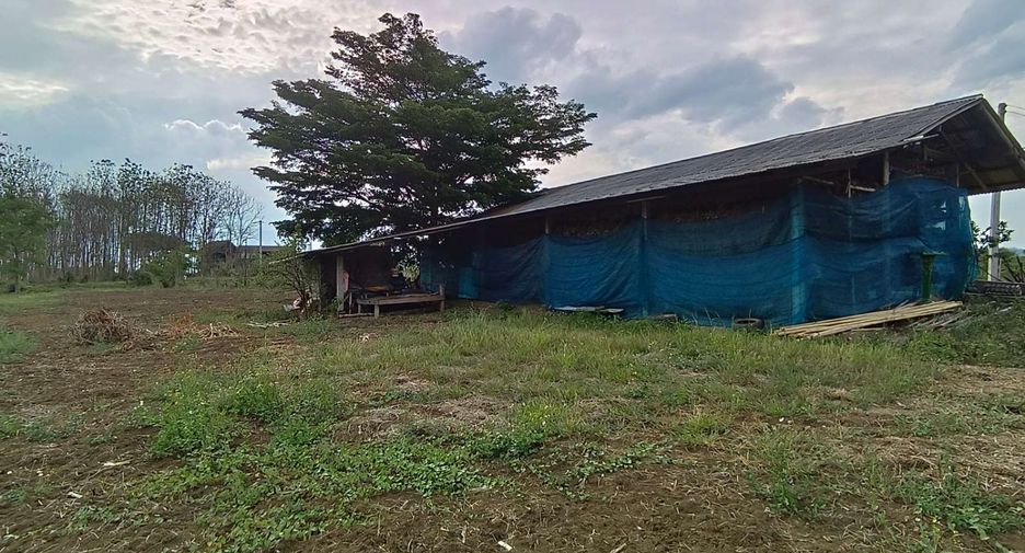 For sale land in Pai, Mae Hong Son