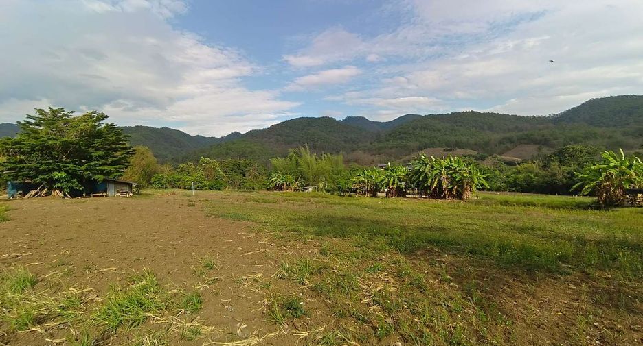 For sale land in Pai, Mae Hong Son