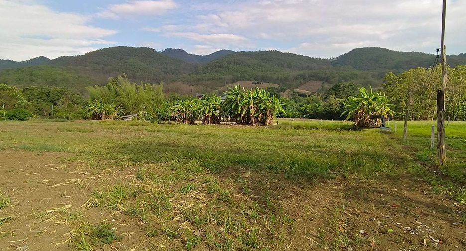 For sale land in Pai, Mae Hong Son