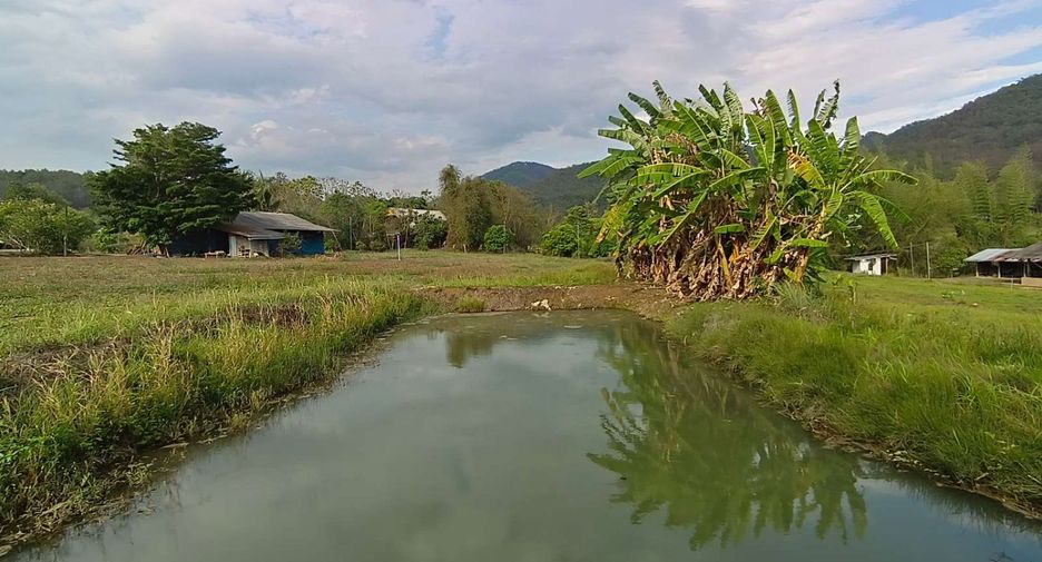 For sale land in Pai, Mae Hong Son