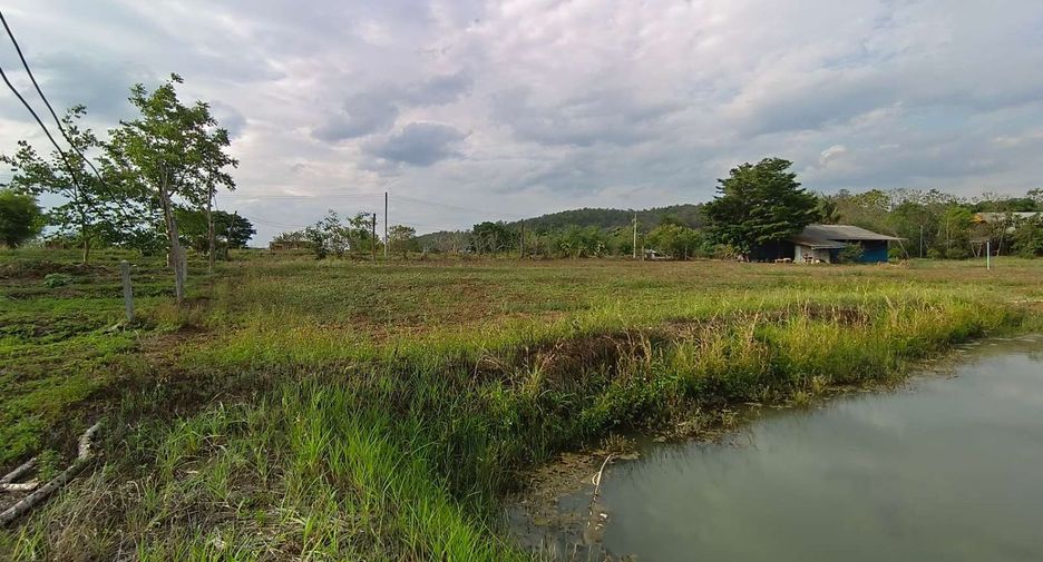 For sale land in Pai, Mae Hong Son