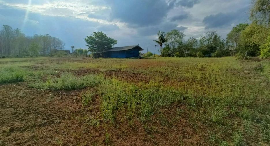 For sale land in Pai, Mae Hong Son