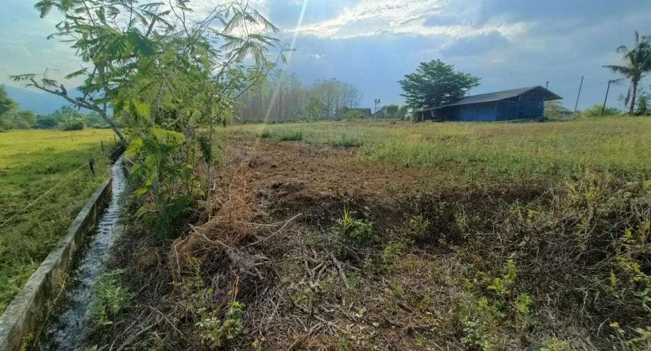 For sale land in Pai, Mae Hong Son