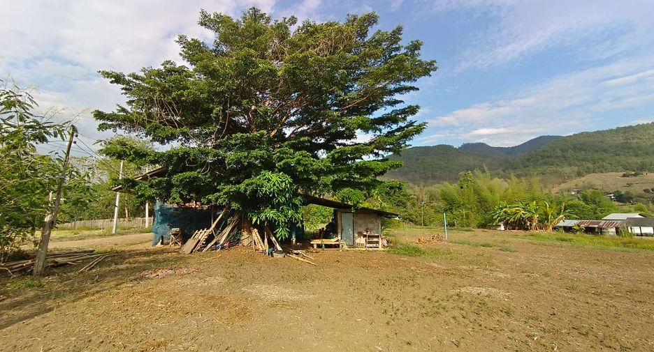 For sale land in Pai, Mae Hong Son