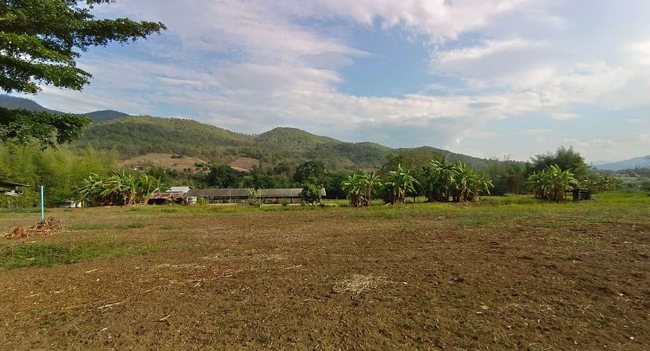 For sale land in Pai, Mae Hong Son