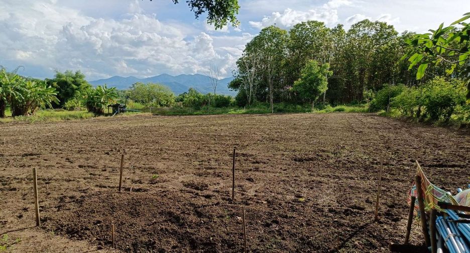 For sale land in Pai, Mae Hong Son