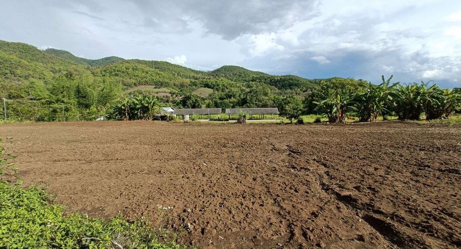For sale land in Pai, Mae Hong Son