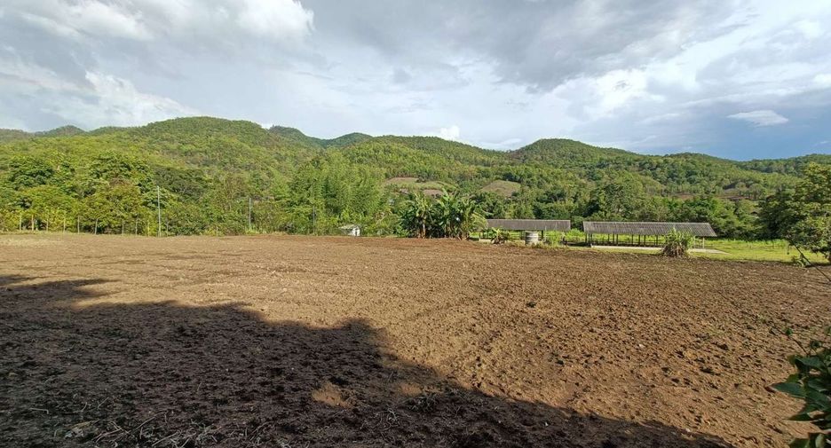 For sale land in Pai, Mae Hong Son