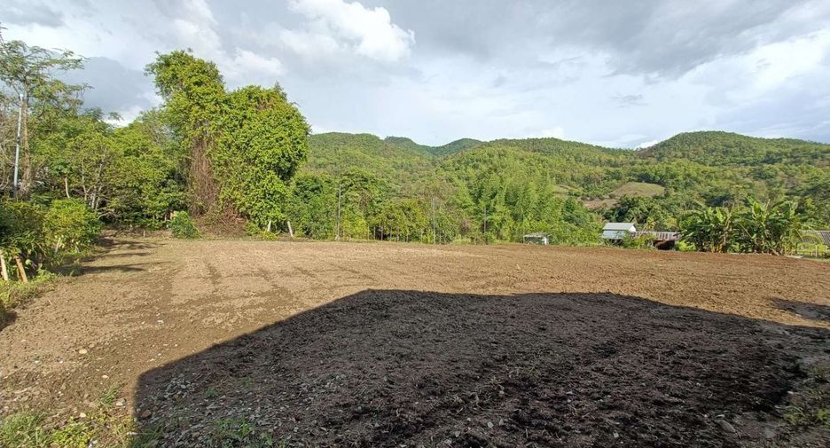 For sale land in Pai, Mae Hong Son