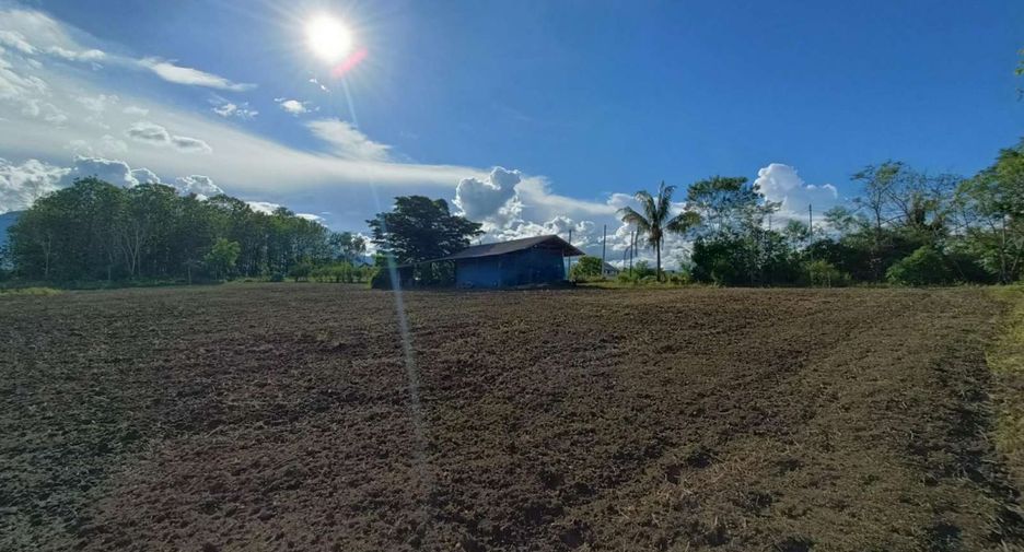 For sale land in Pai, Mae Hong Son