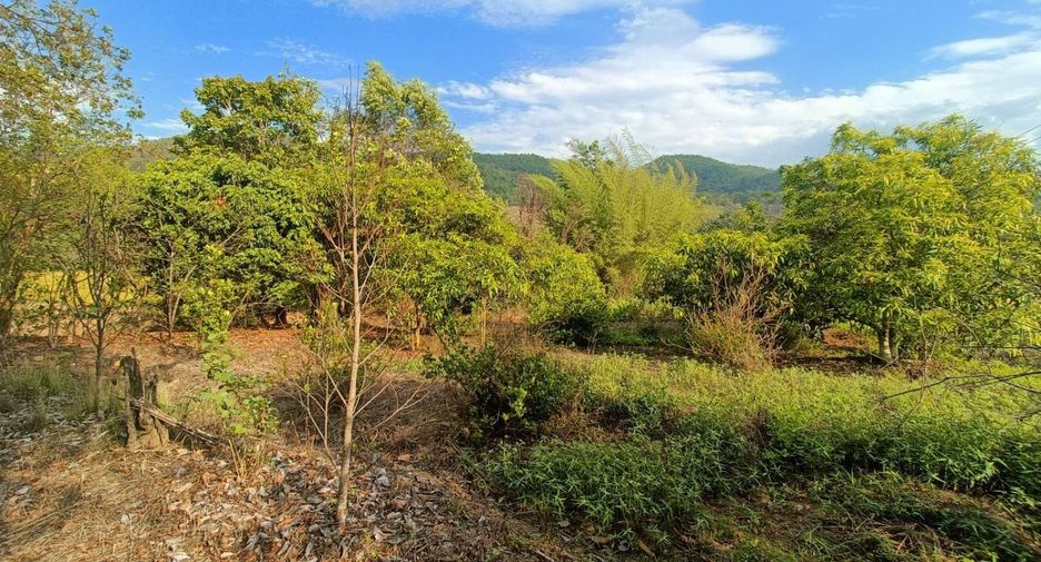 For sale land in Pai, Mae Hong Son