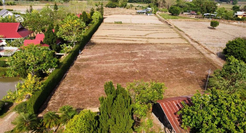 For sale land in Pai, Mae Hong Son
