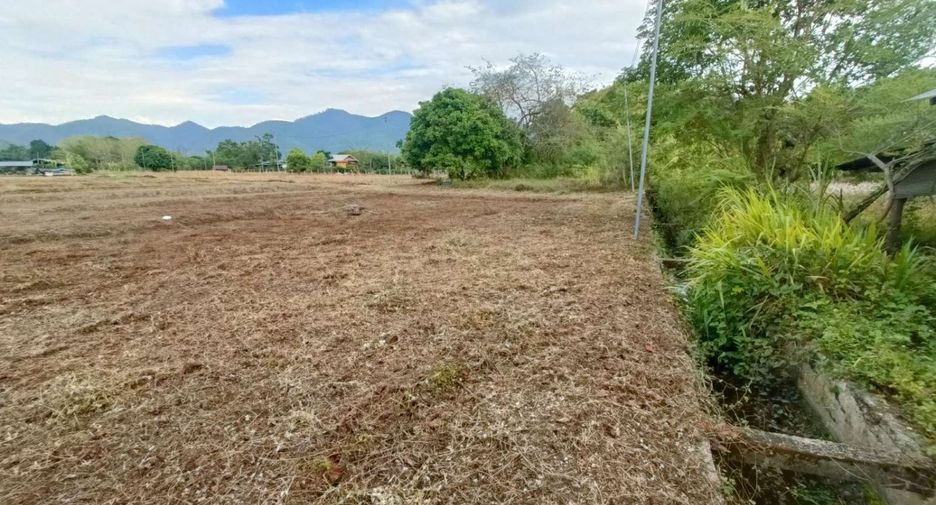 For sale land in Pai, Mae Hong Son