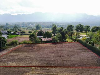 出售 土地 在 Pai, Mae Hong Son