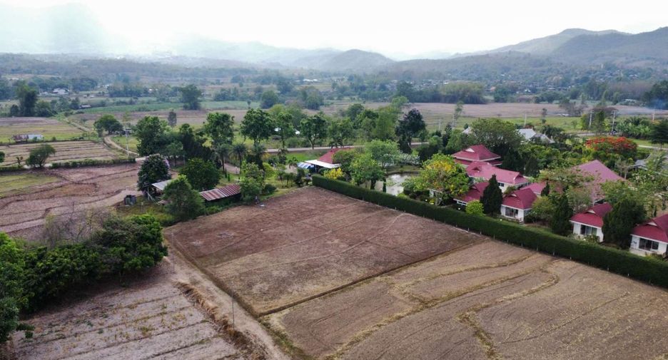 For sale land in Pai, Mae Hong Son