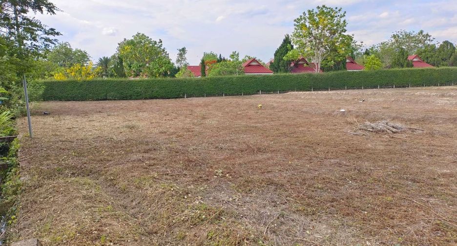 For sale land in Pai, Mae Hong Son