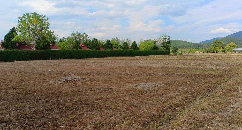 For sale land in Pai, Mae Hong Son