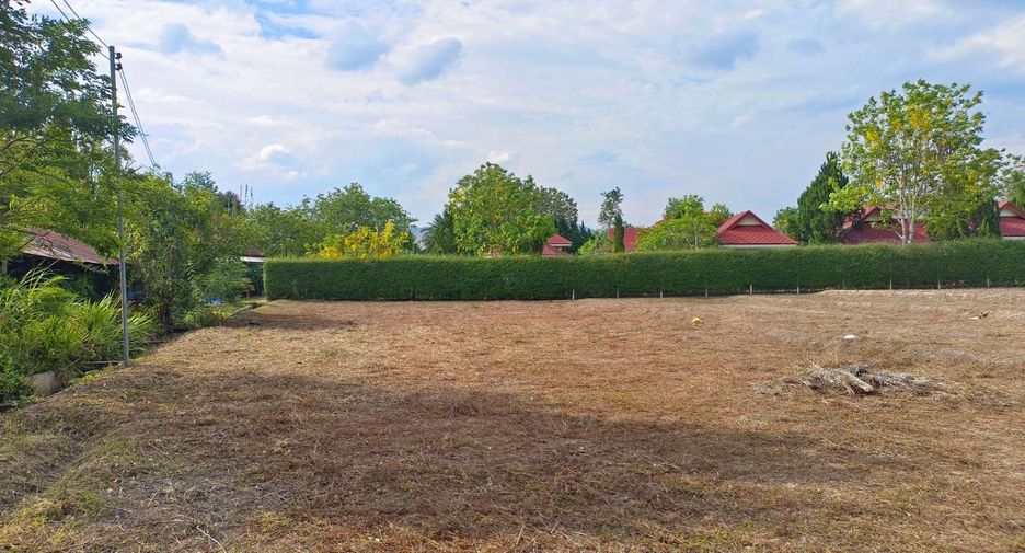 For sale land in Pai, Mae Hong Son