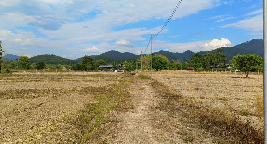 For sale land in Pai, Mae Hong Son