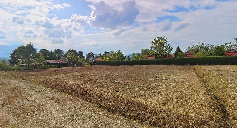 For sale land in Pai, Mae Hong Son