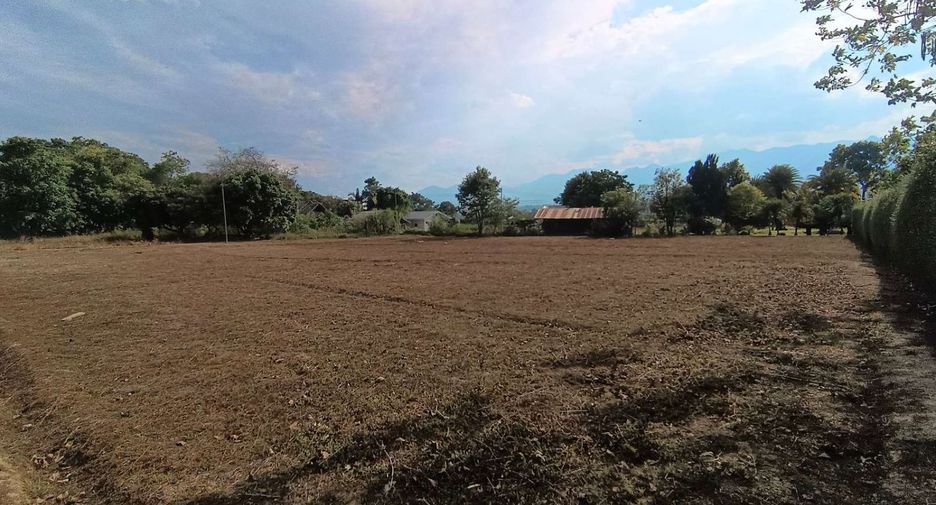 For sale land in Pai, Mae Hong Son