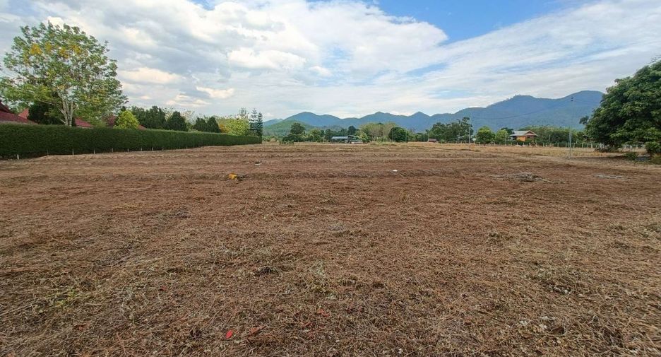 For sale land in Pai, Mae Hong Son