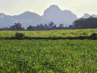 Grundstück zum Kauf in Sai Yok, Kanchanaburi