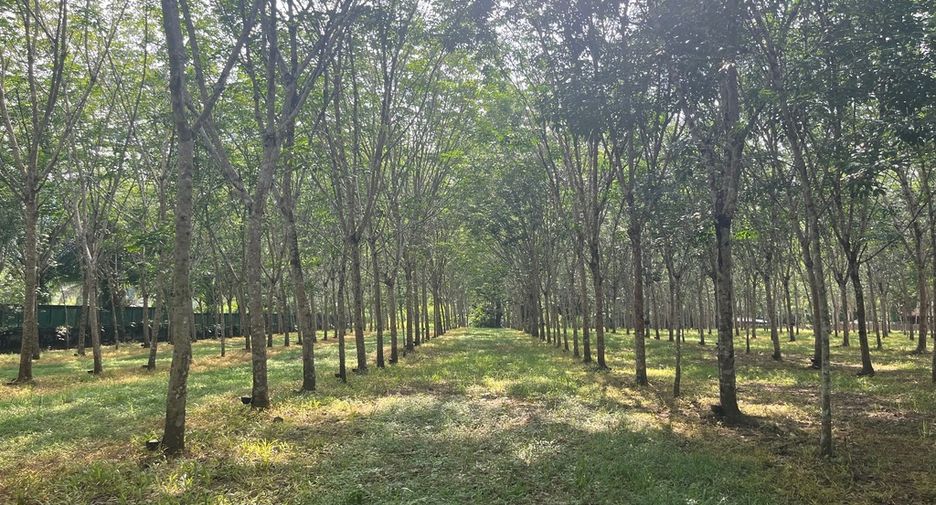 Grundstück zum Kauf in Thai Mueang, Phang Nga