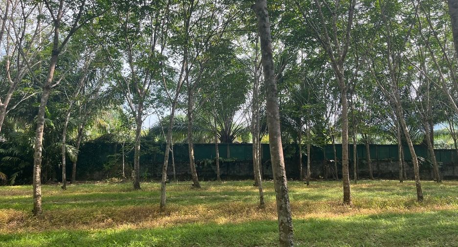 Grundstück zum Kauf in Thai Mueang, Phang Nga