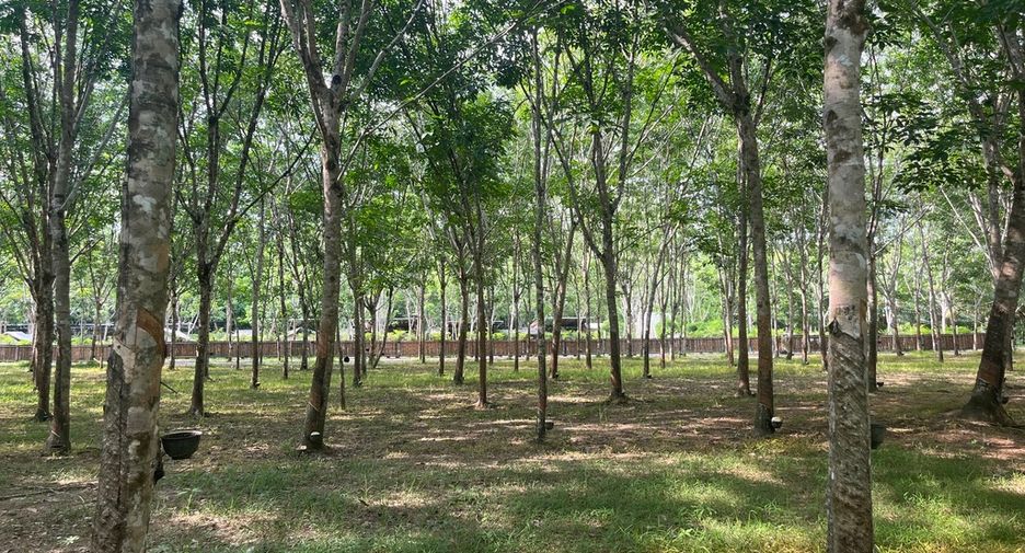 Grundstück zum Kauf in Thai Mueang, Phang Nga