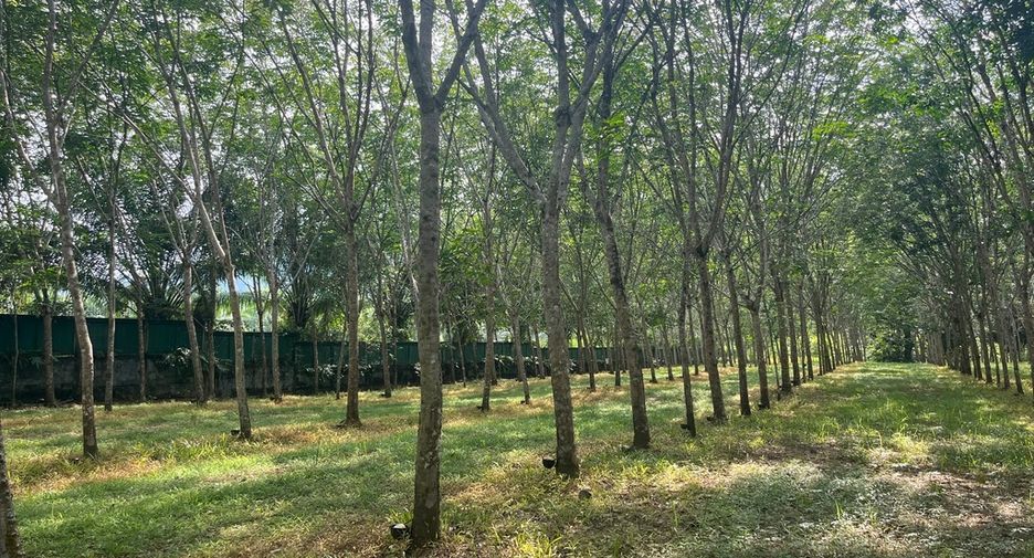 Grundstück zum Kauf in Thai Mueang, Phang Nga