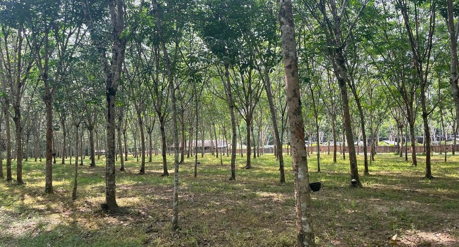 Grundstück zum Kauf in Thai Mueang, Phang Nga