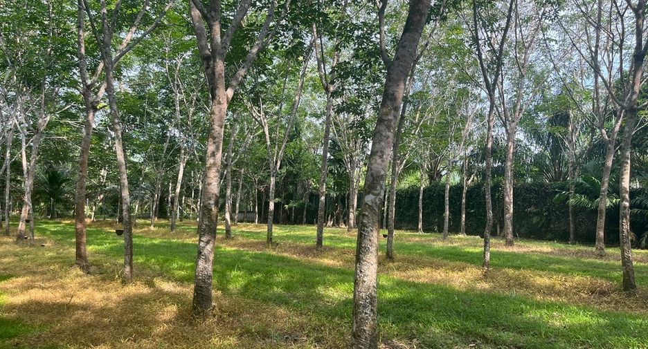 Grundstück zum Kauf in Thai Mueang, Phang Nga