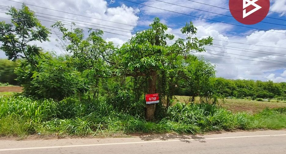 For sale land in Wang Nam Yen, Sa Kaeo