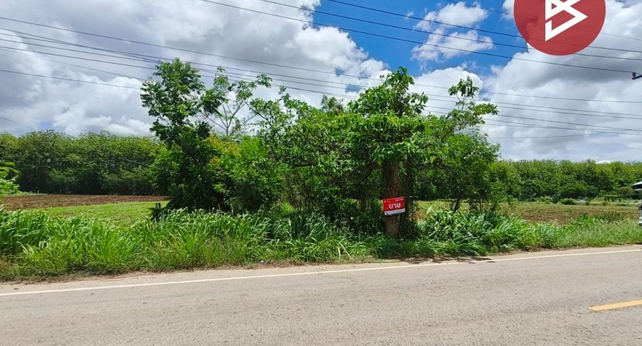 For sale land in Wang Nam Yen, Sa Kaeo