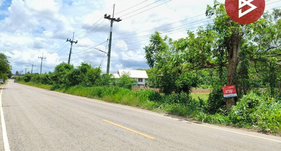 For sale land in Wang Nam Yen, Sa Kaeo