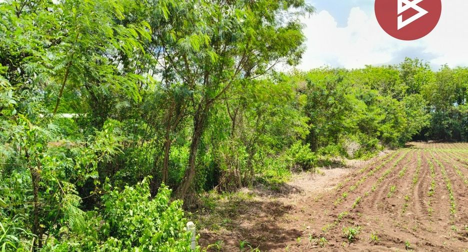 For sale land in Wang Nam Yen, Sa Kaeo