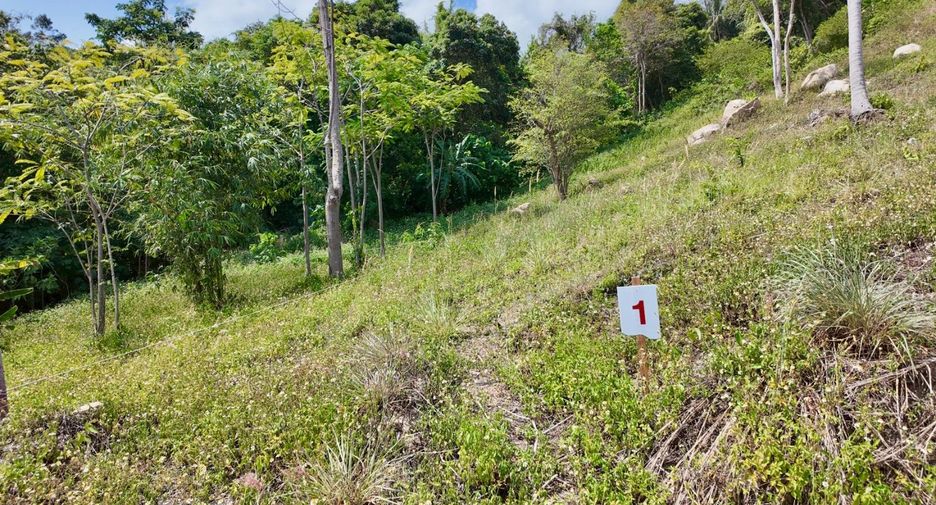 For sale land in Ko Samui, Surat Thani