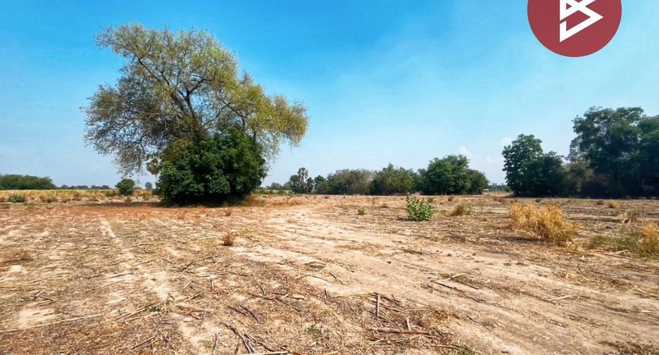 For sale land in U Thong, Suphan Buri