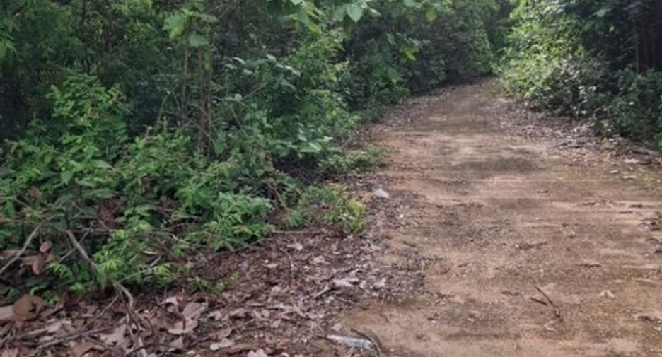 For sale land in Thoeng, Chiang Rai