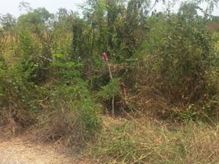 For sale land in Ongkharak, Nakhon Nayok