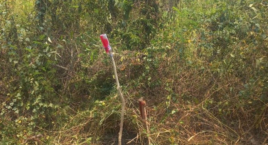 For sale land in Ongkharak, Nakhon Nayok