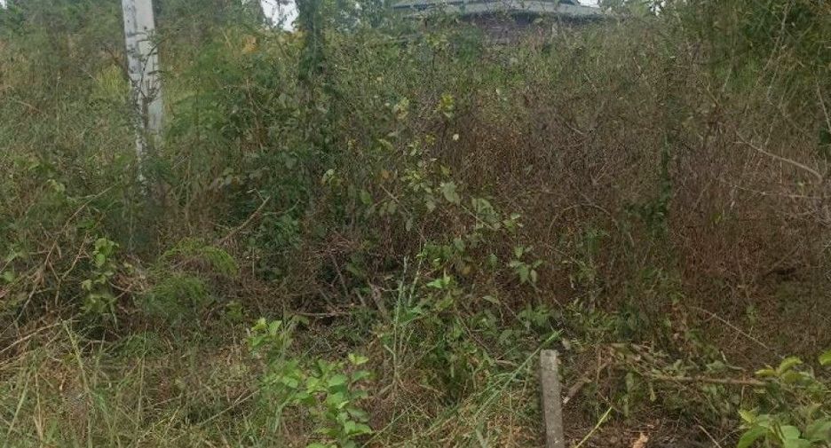 For sale land in Ongkharak, Nakhon Nayok