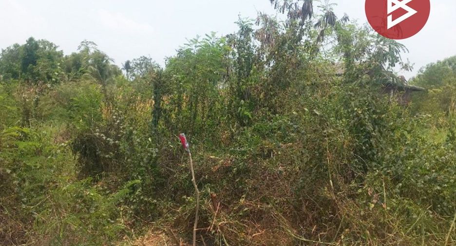 For sale land in Ongkharak, Nakhon Nayok
